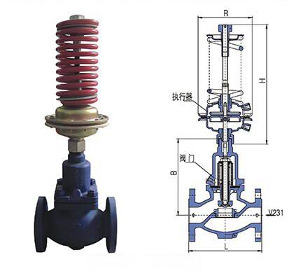 進(jìn)口自力式壓力調(diào)節(jié)閥(圖1)
